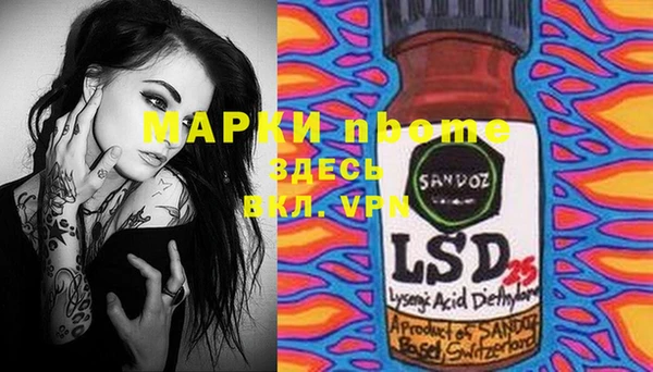 PSILOCYBIN Бородино