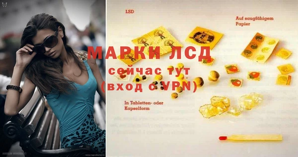 PSILOCYBIN Бородино