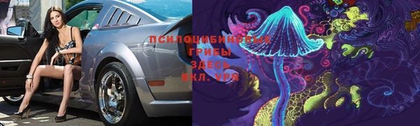 шишки Бронницы